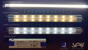 LED for Refrigeration